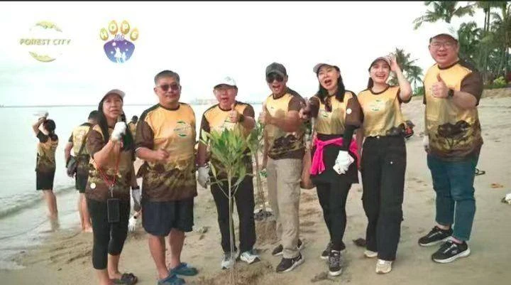 联合种植红树苗